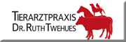 Tierarztpraxis
Dr. RuthTwehues<br>  Holtgast